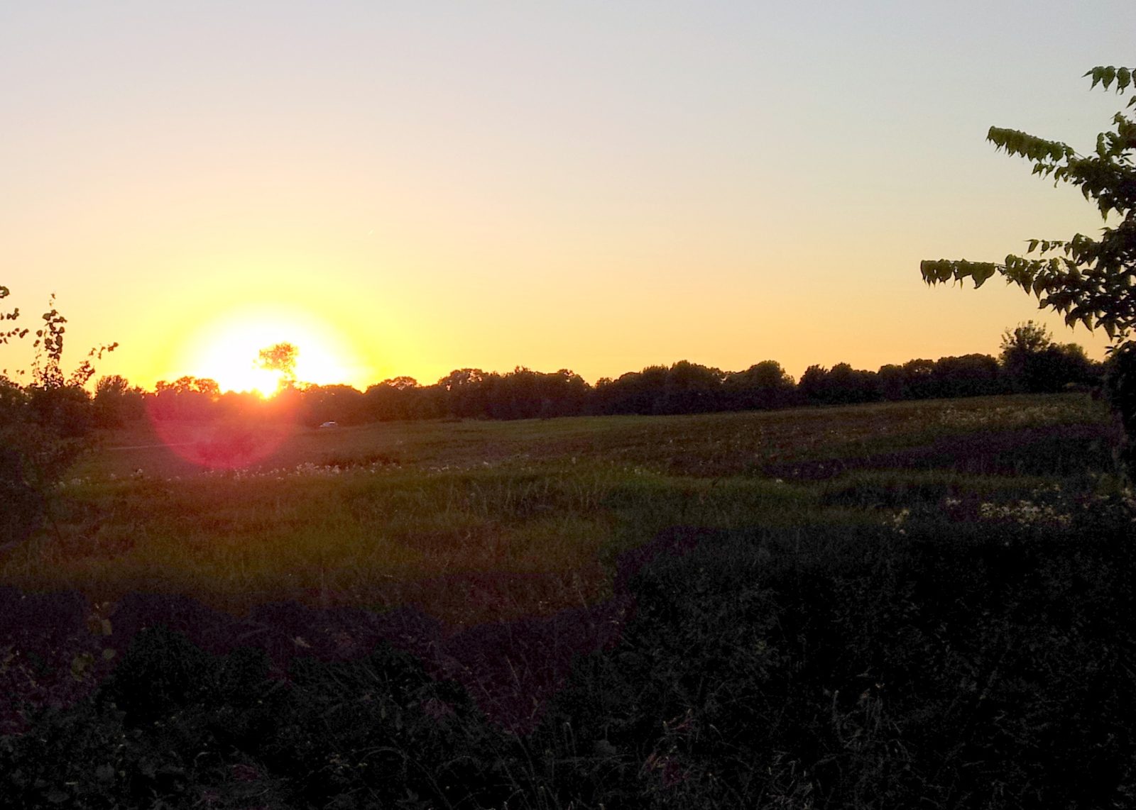 Lake Elmo, MN