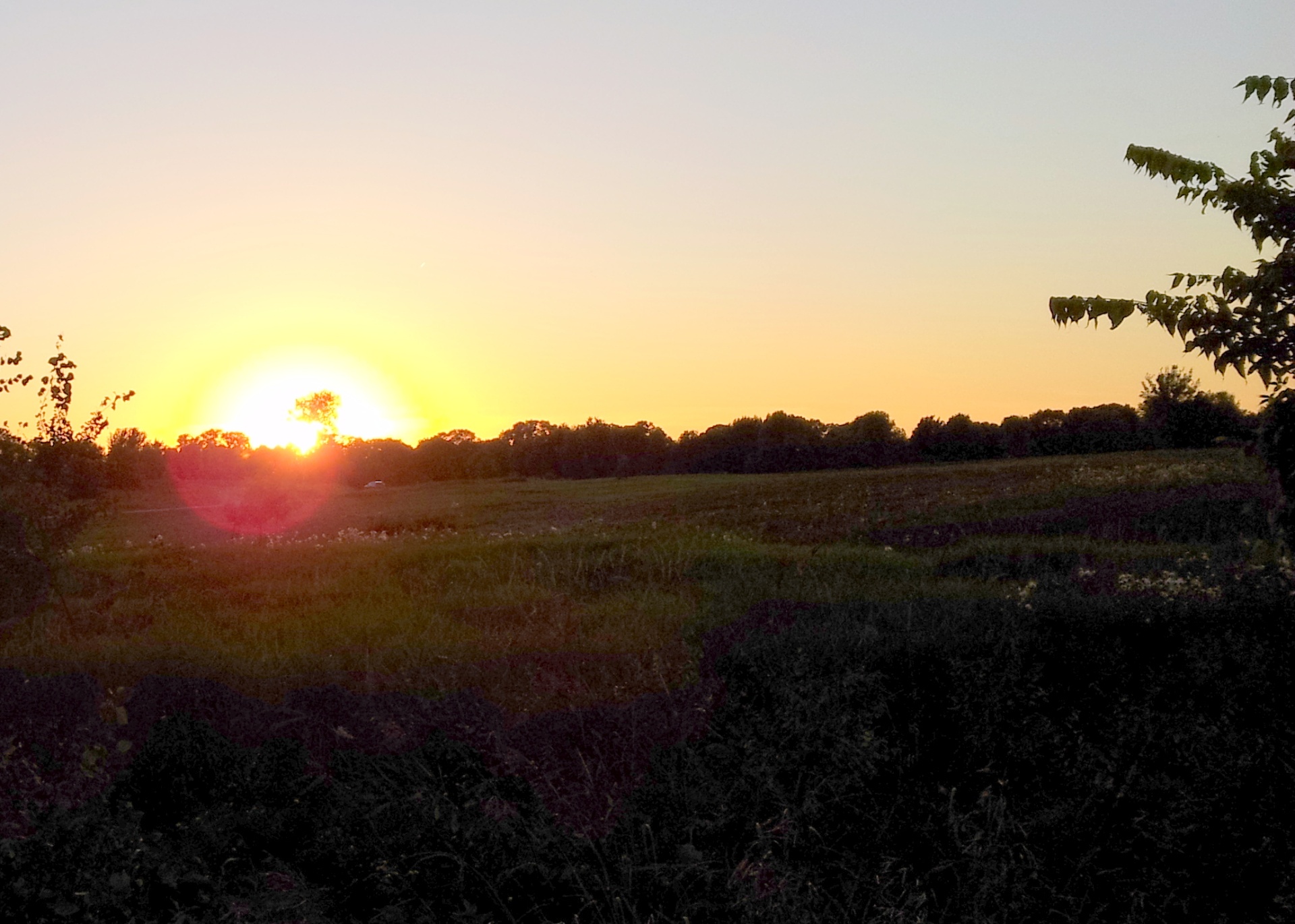 Lake Elmo, MN